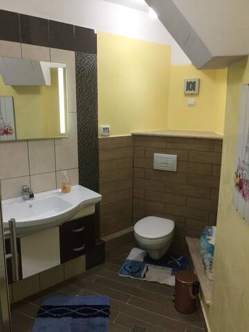Фото номера Апартаменты с 2 спальнями Гостевой дом Casa Caprioara г. Петрошани 4
