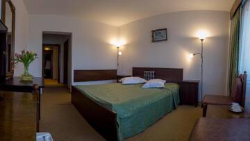 Фото номера Улучшенный двухместный номер с 1 кроватью Отель Hotel Petroşani г. Петрошани 10