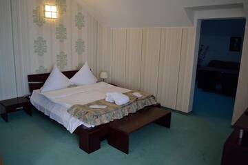 Фото номера Люкс с 2 спальнями и кроватью размера &quot;queen-size&quot; Отель Hotel Rusu г. Петрошани 17