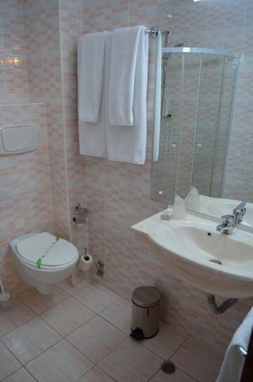 Фото номера Трехместный номер Отель Hotel Rusu г. Петрошани 8