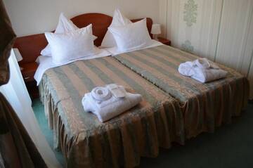 Фото номера Двухместный номер с 1 кроватью Отель Hotel Rusu г. Петрошани 12