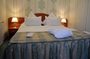 Фото номера Двухместный номер с 1 кроватью Отель Hotel Rusu г. Петрошани 18