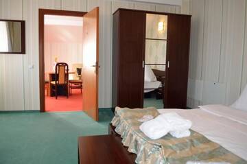 Фото номера Люкс с 2 спальнями и кроватью размера &quot;queen-size&quot; Отель Hotel Rusu г. Петрошани 5
