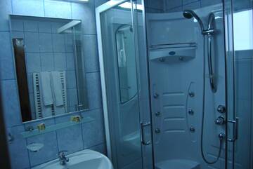 Фото номера Улучшенный двухместный номер с 1 кроватью Гостевой дом Cabana Popasul Haiducilor г. Петрошани 12